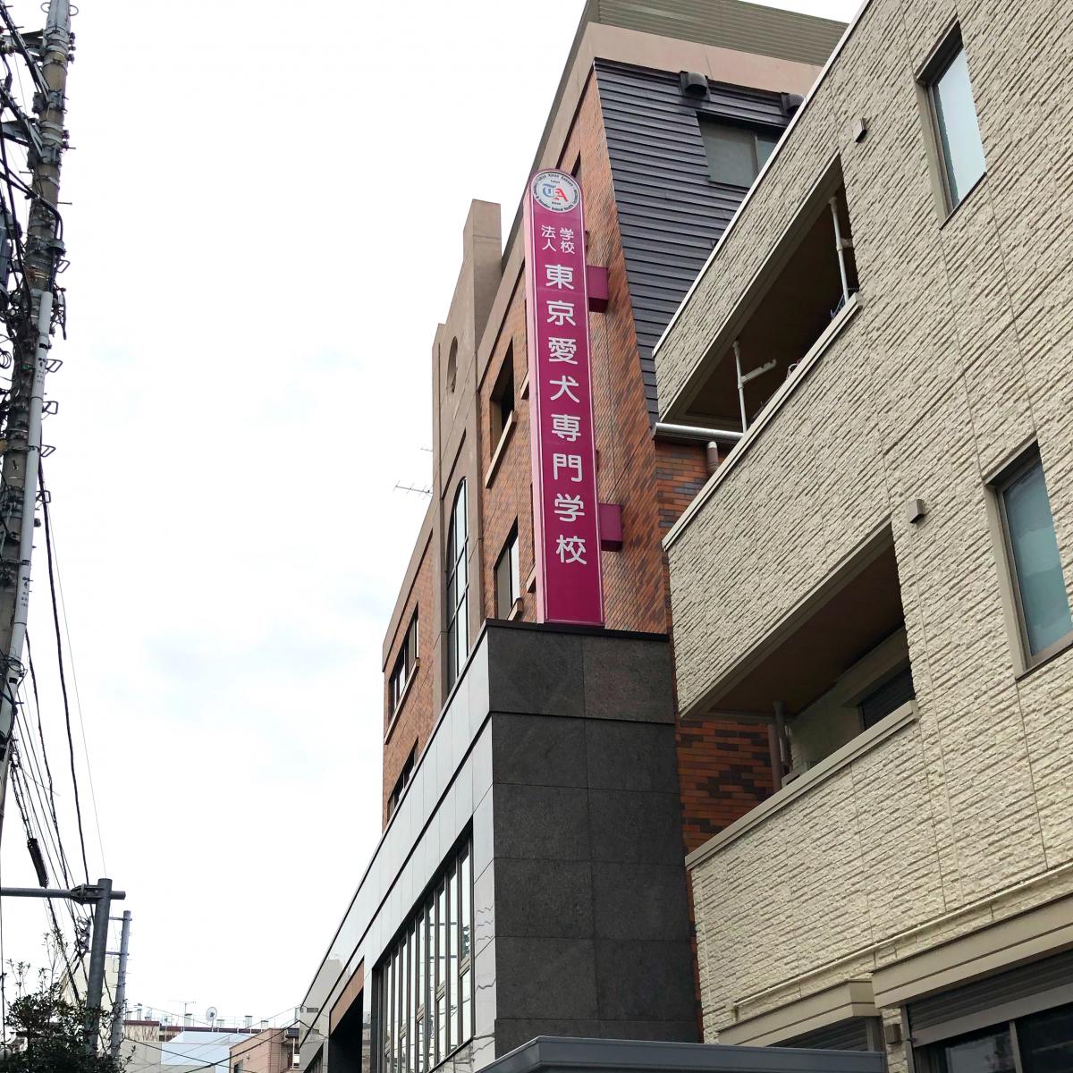 スタディピア 東京愛犬専門学校 中野区上高田