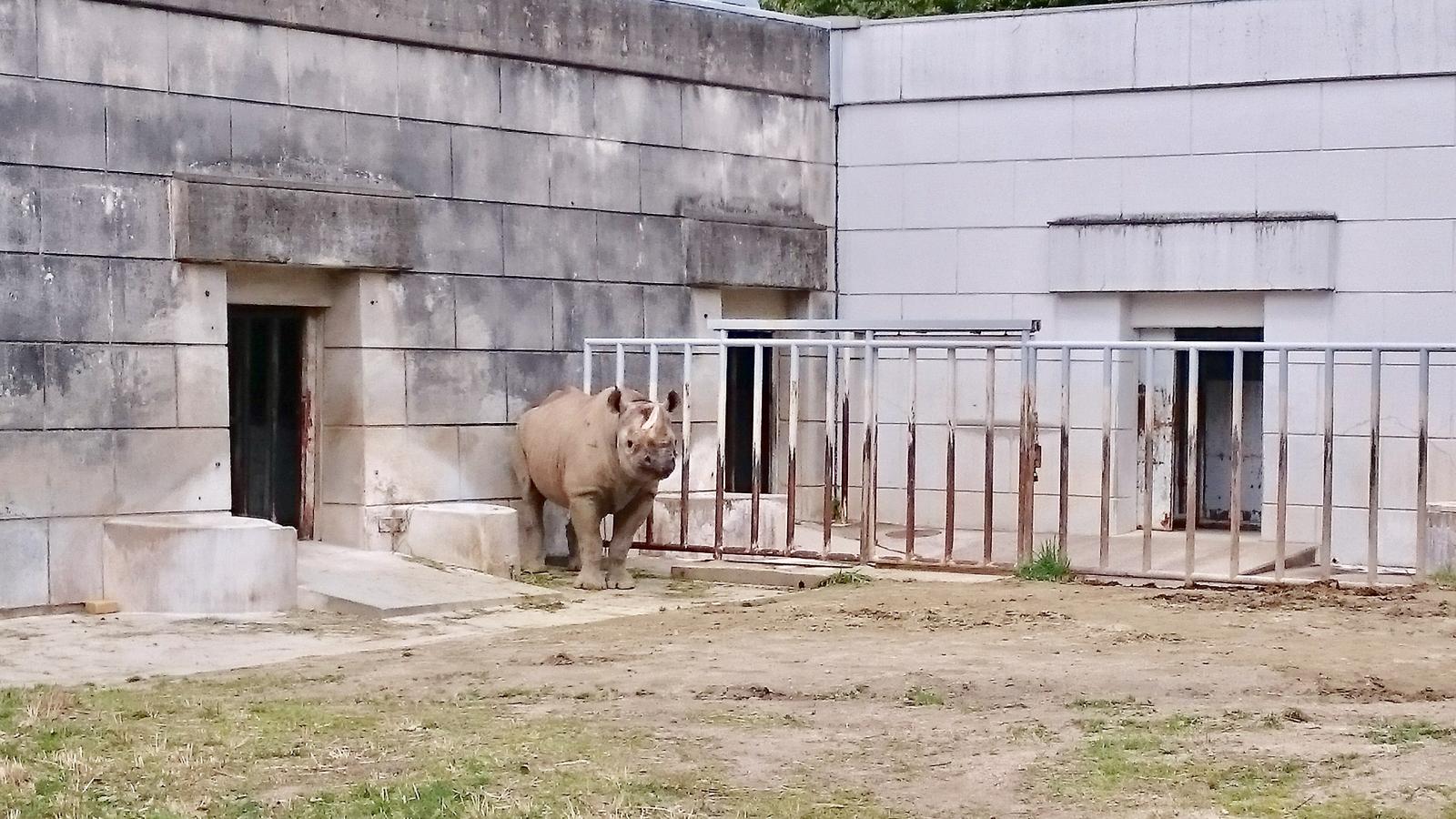 旅探 たびたん 東山動植物園 名古屋市千種区 の投稿写真一覧 3ページ