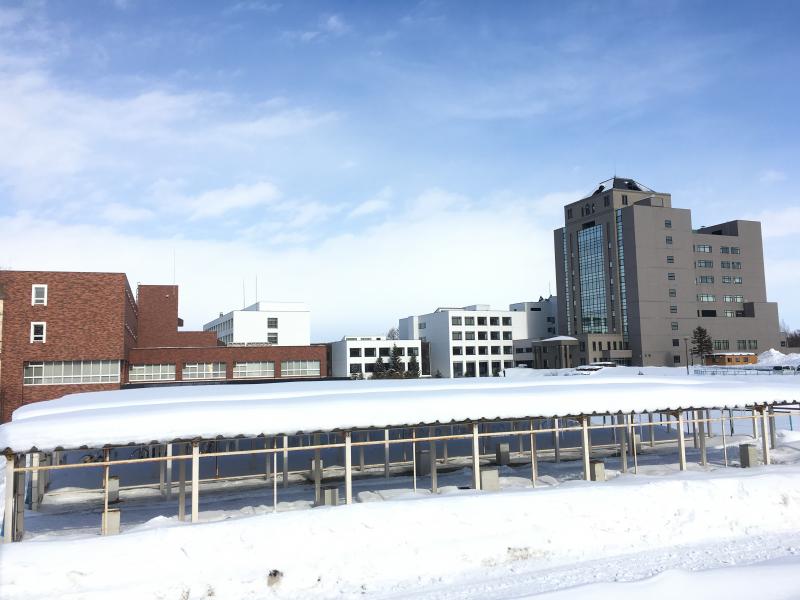 スタディピア 札幌学院大学 江別市 周辺施設 口コミ 写真 動画