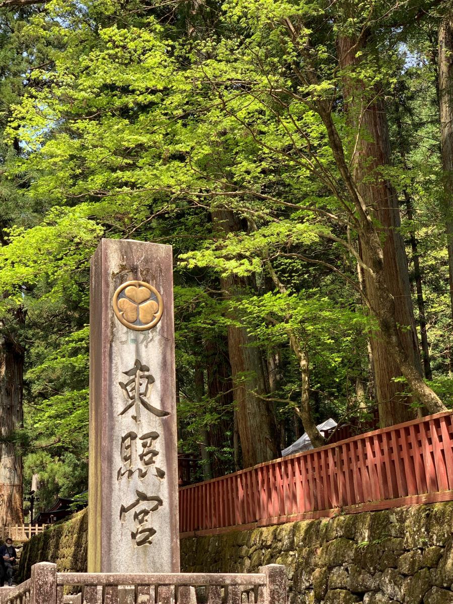 旅探 たびたん 日光東照宮のコメント一覧 1ページ