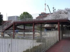 スタディピア 名古屋文化幼稚園 名古屋市東区白壁