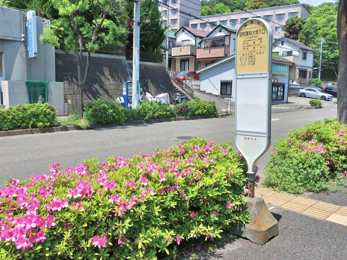 ユキサキナビ 神奈川中央交通 昭和薬科大学入口 バス停留所 町田市成瀬