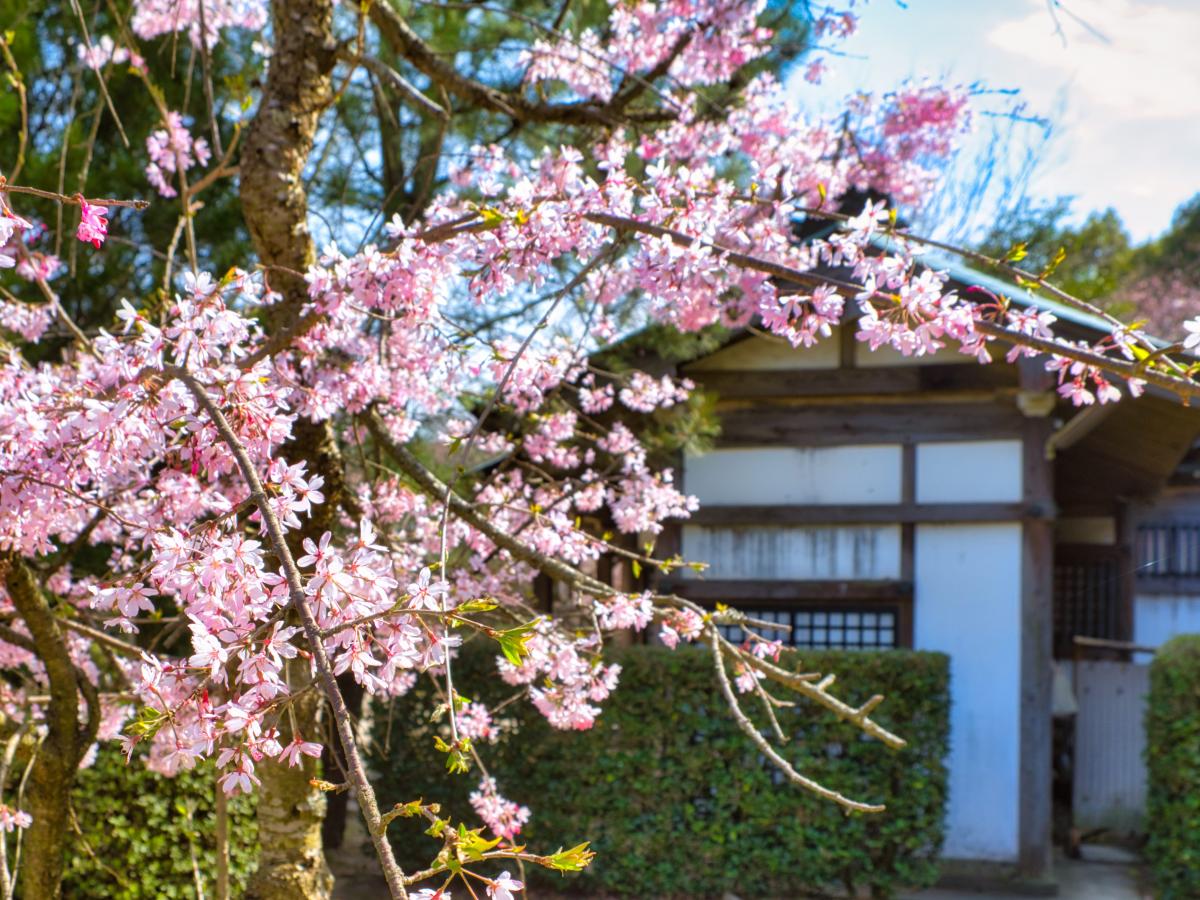 パブリネット 桑山公園
