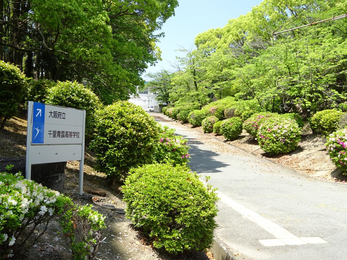 スタディピア 千里青雲高校 豊中市新千里南町