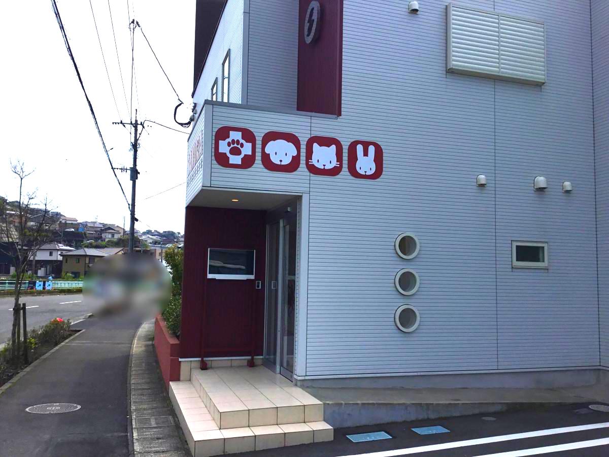 ドッグメディカル さくらペットクリニック 鹿児島市広木