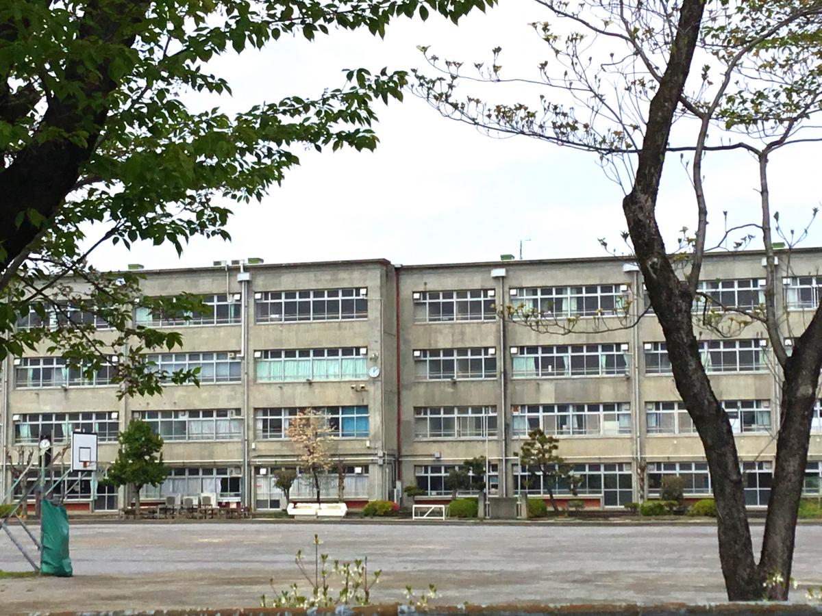 クックドア マクドナルド 大宮カインズホーム店 さいたま市西区 の周辺施設コメント 口コミ 一覧