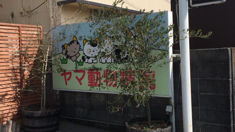 ドッグメディカル ヤマ動物病院