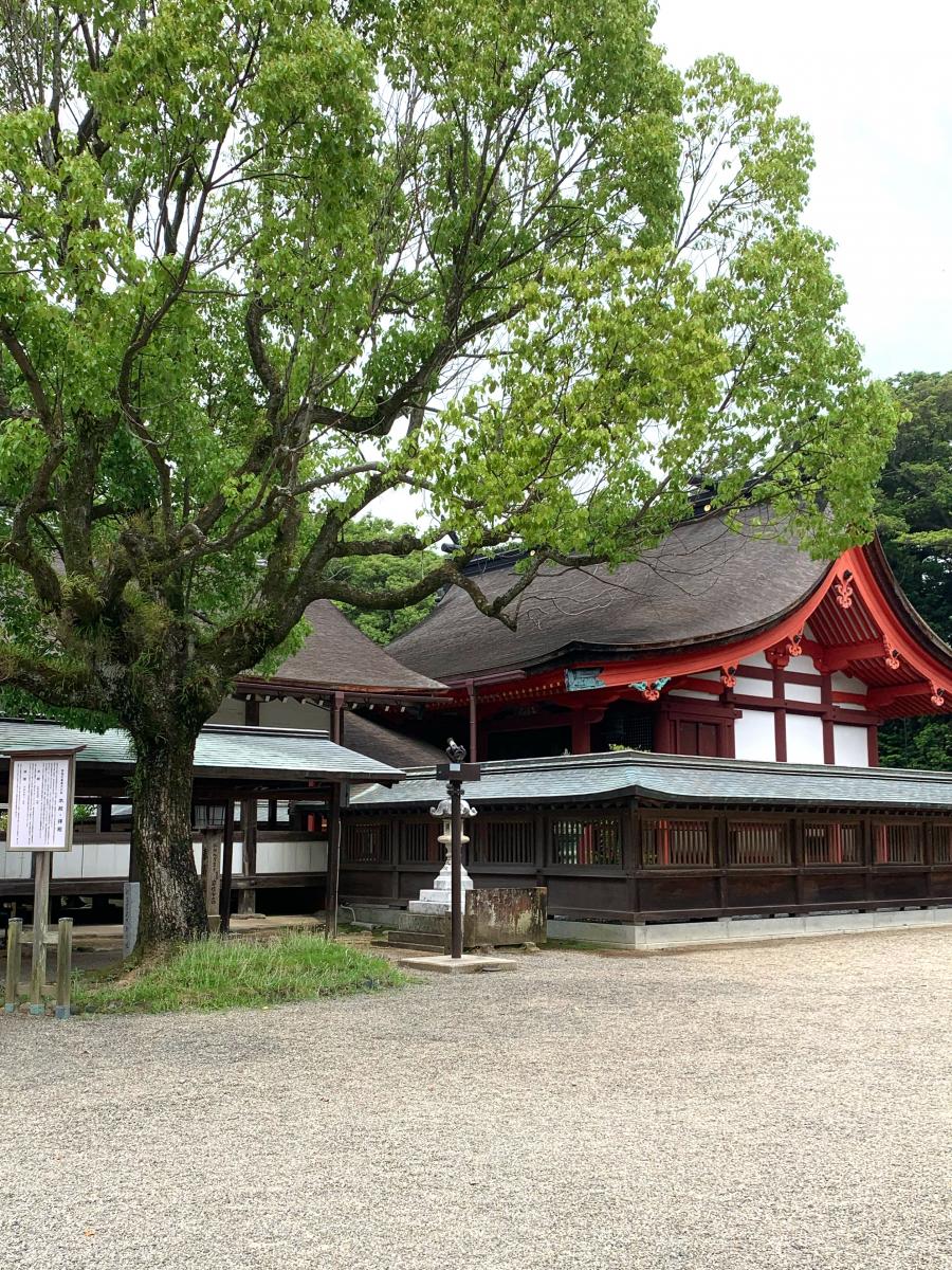 旅探 たびたん 宗像大社
