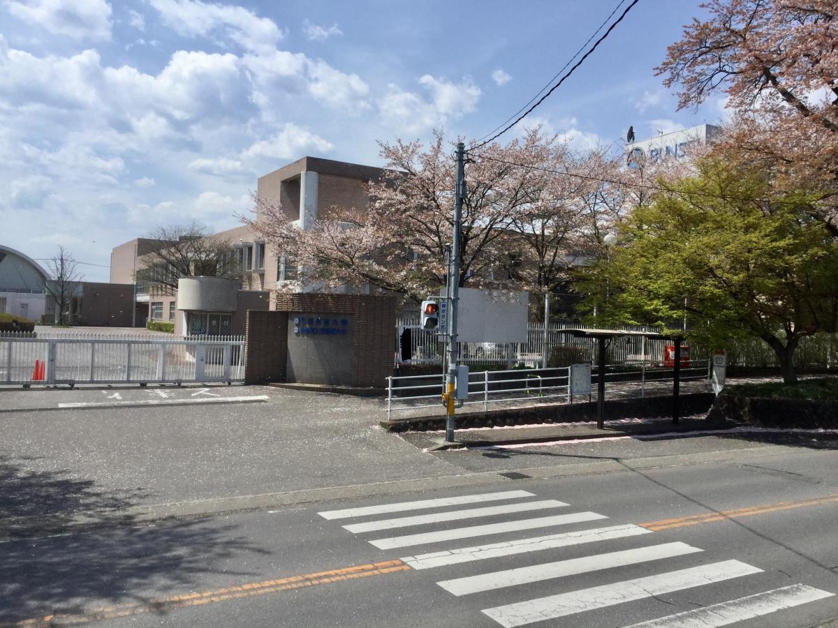 ホームメイト アヴァンセ 物件情報 栃木県宇都宮市