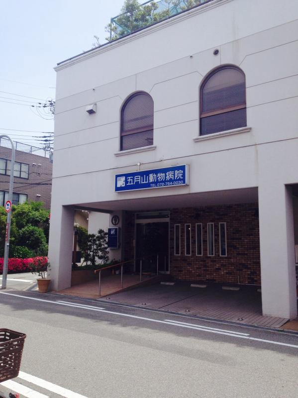 ドッグメディカル 五月山動物病院