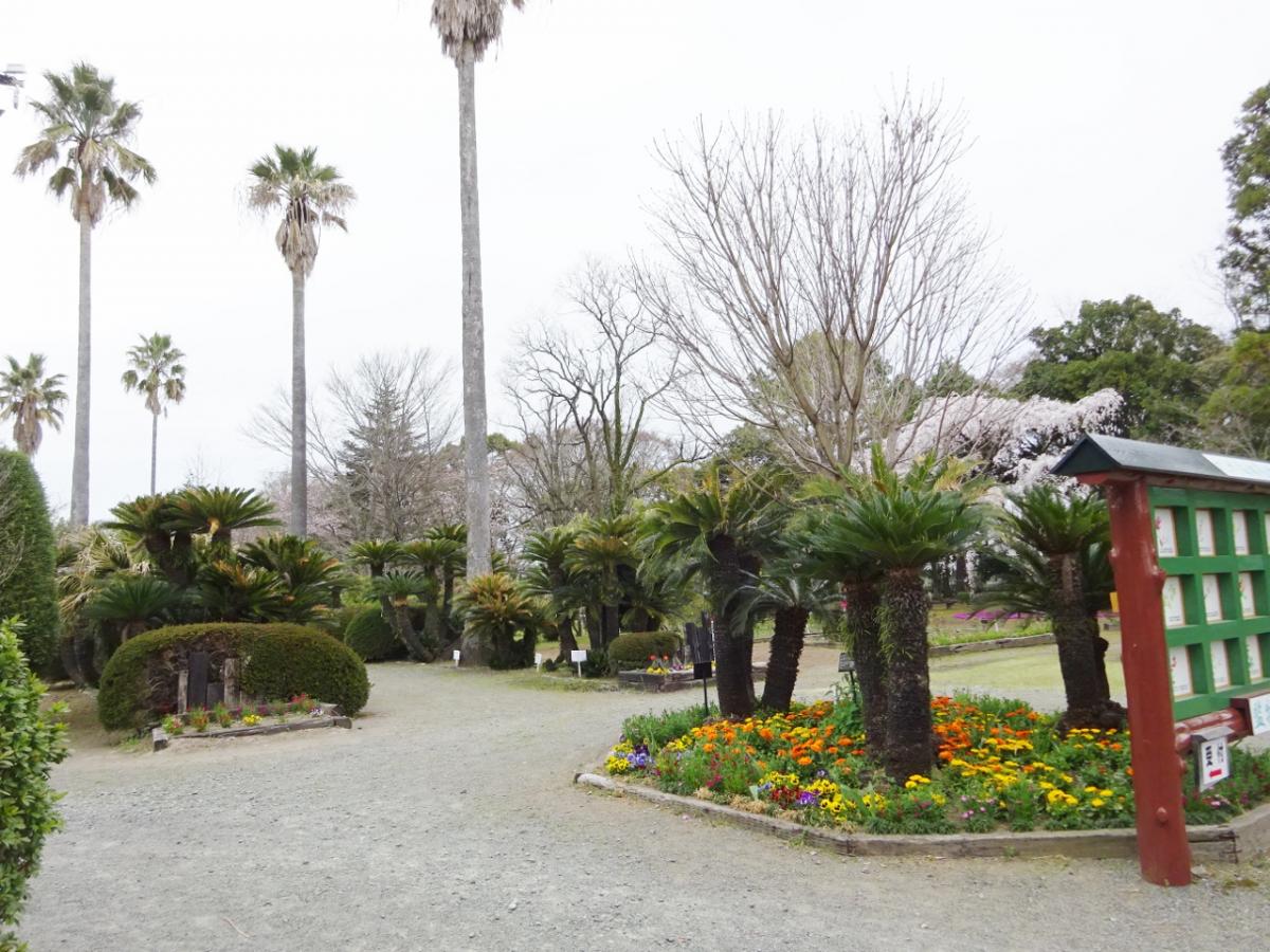 監物台樹木園森林博物館