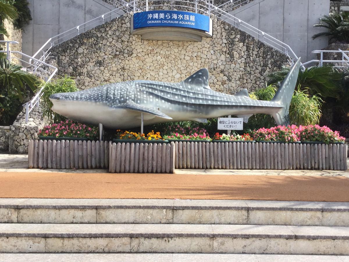 沖縄美ら海水族館