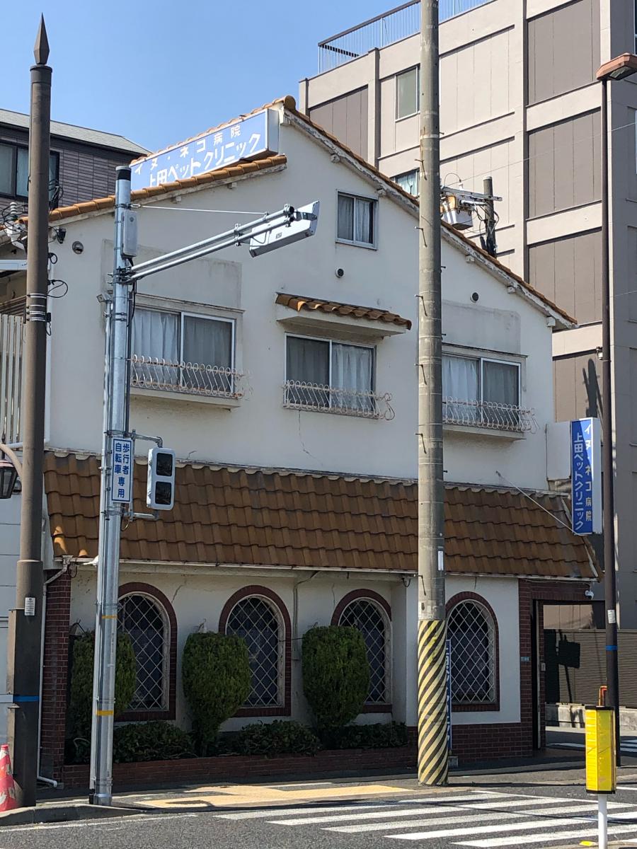 ドッグメディカル 上田ペットクリニック
