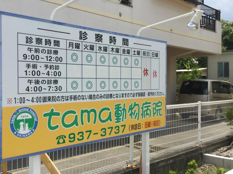 ドッグメディカル ｔａｍａ動物病院 沖縄市古謝