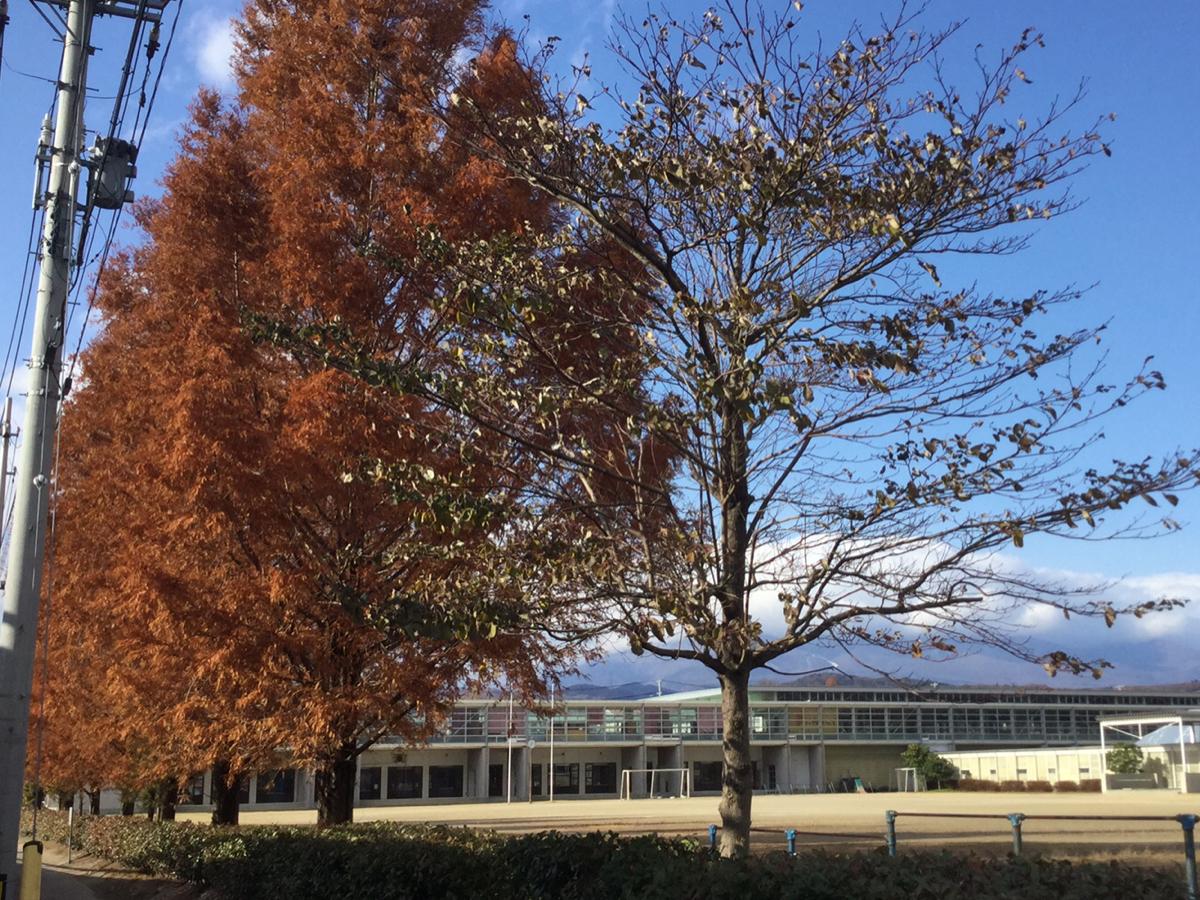 スタディピア 白石高校 白石市 周辺施設 口コミ 写真 動画