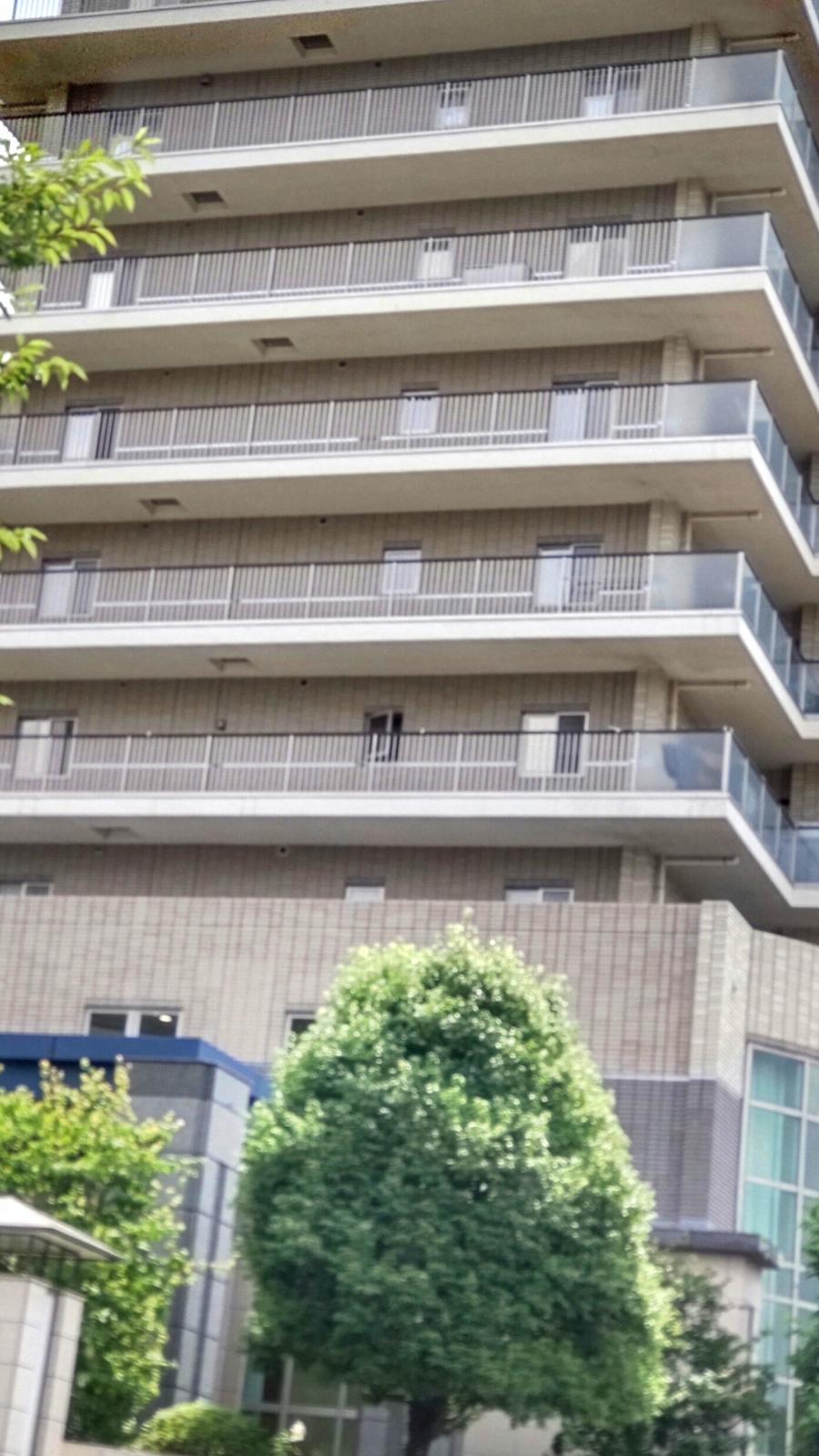 ホームメイト シニア 町田さくらんぼ