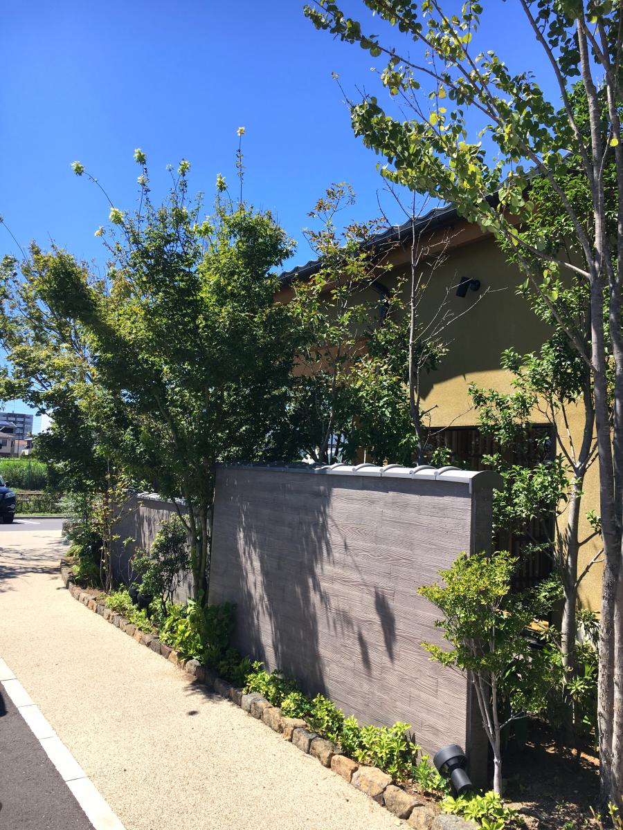 クックドア 梅の花 越谷レイクタウン店