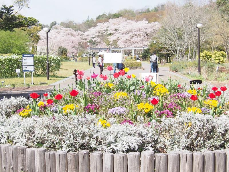 ホテバンク 写真 近江富士花緑公園ふるさと館