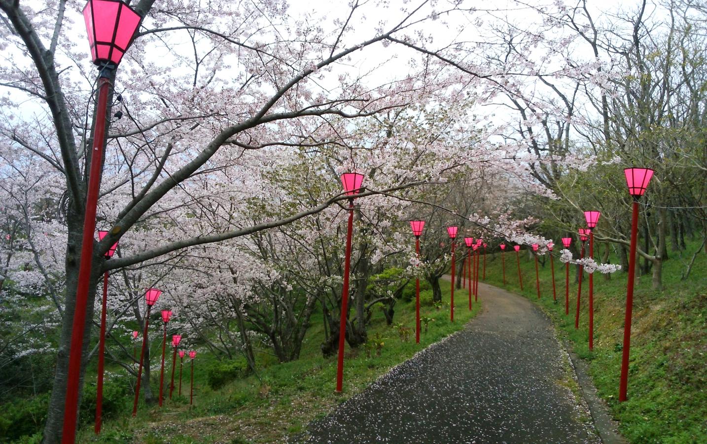 旅探 たびたん 平草原公園 西牟婁郡白浜町 の投稿写真一覧