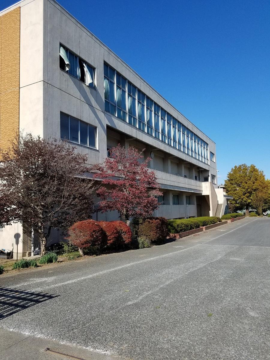 スタディピア 最近投稿された口コミ