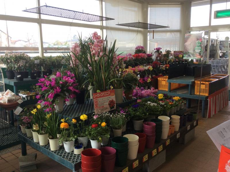 マーケットピア コメリハード グリーン 保原店 伊達市保原町栄町