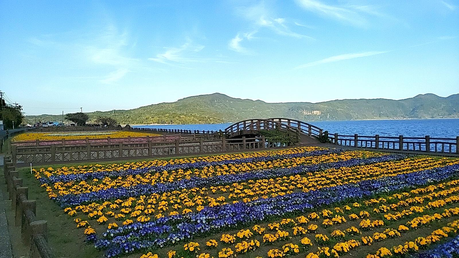 クックドア 池田湖レストハウス
