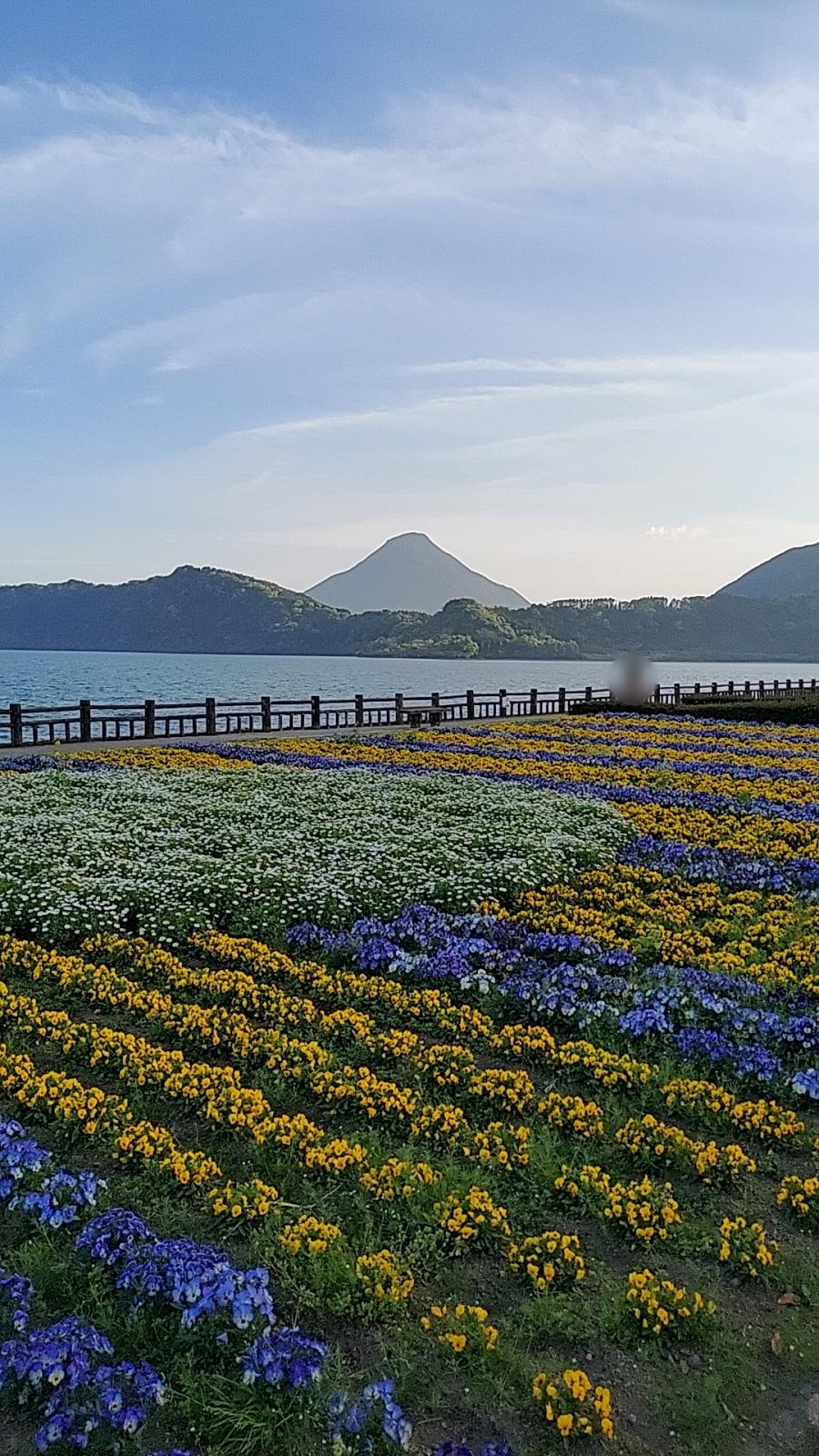 クックドア 池田湖レストハウス