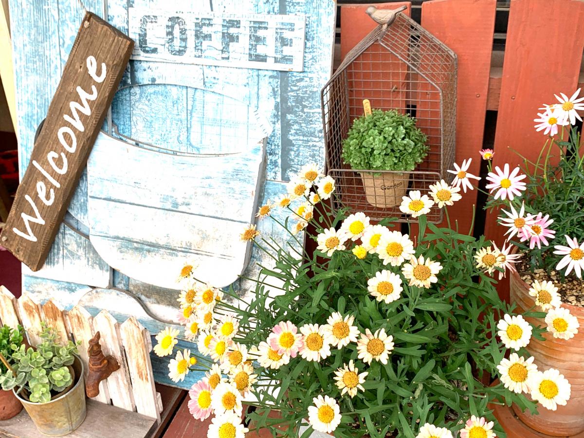 クックドア スイーツカフェ ボヌール 鹿児島県