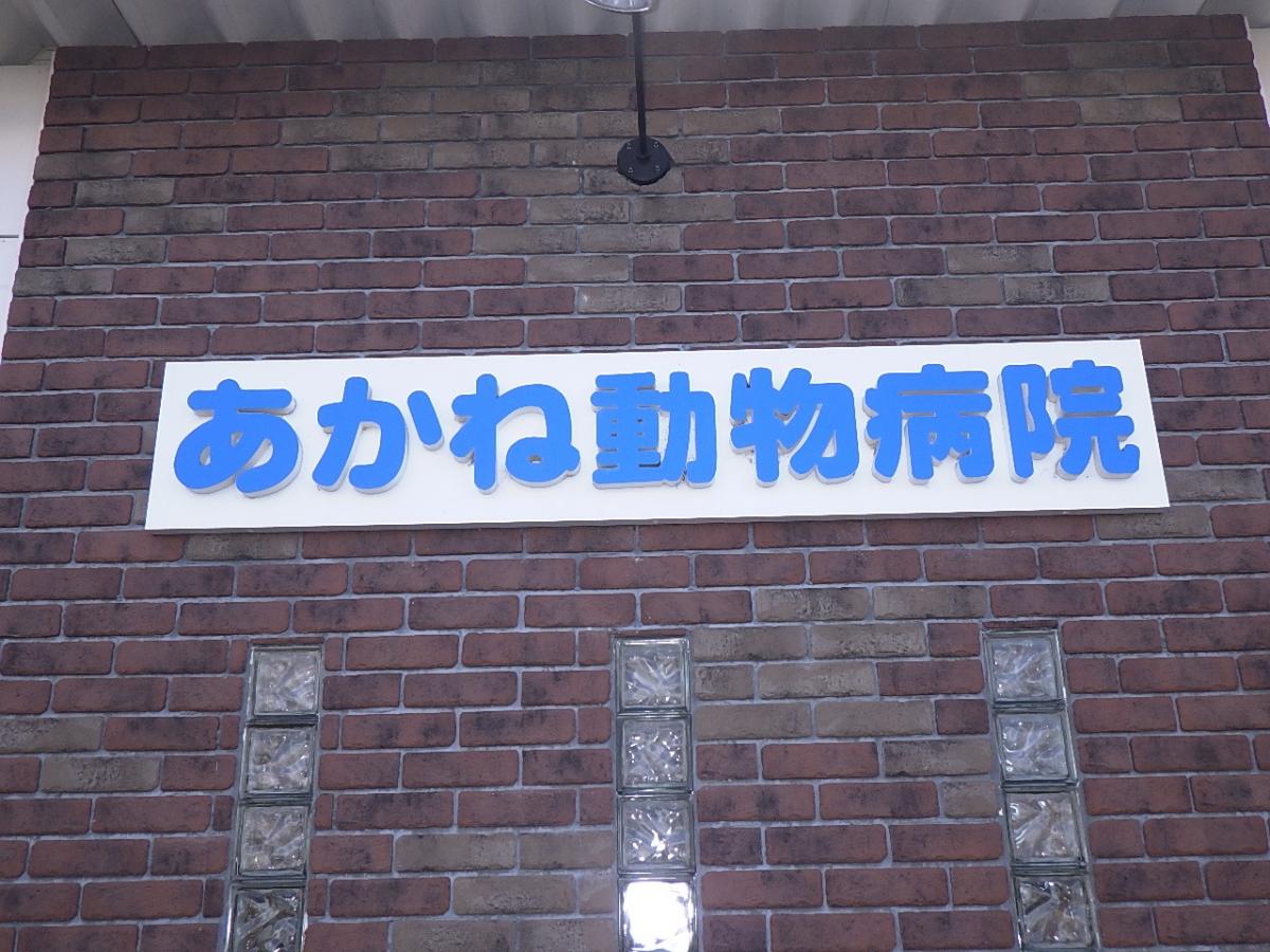 クックドア すし竹東中央店 福島県福島市 周辺施設口コミ 写真 動画