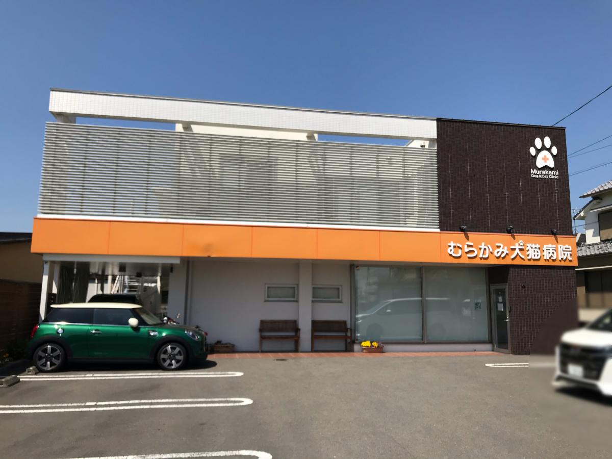 ドッグメディカル むらかみ犬猫病院 松山市東野