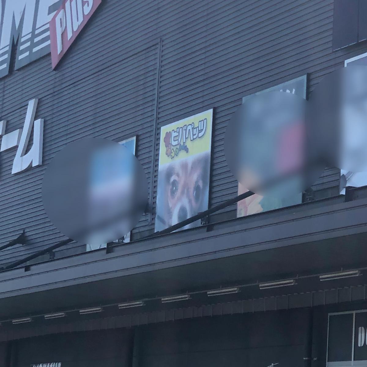 クックドア 周辺施設写真 ドトールコーヒーショップ スーパービバホーム春日部店