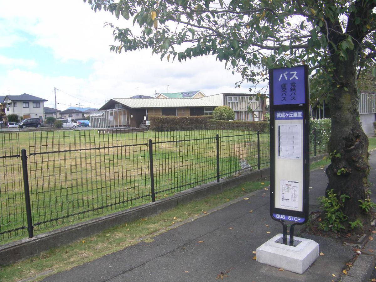 スタディピア 美鈴幼稚園 菊池郡菊陽町 周辺施設 口コミ 写真 動画