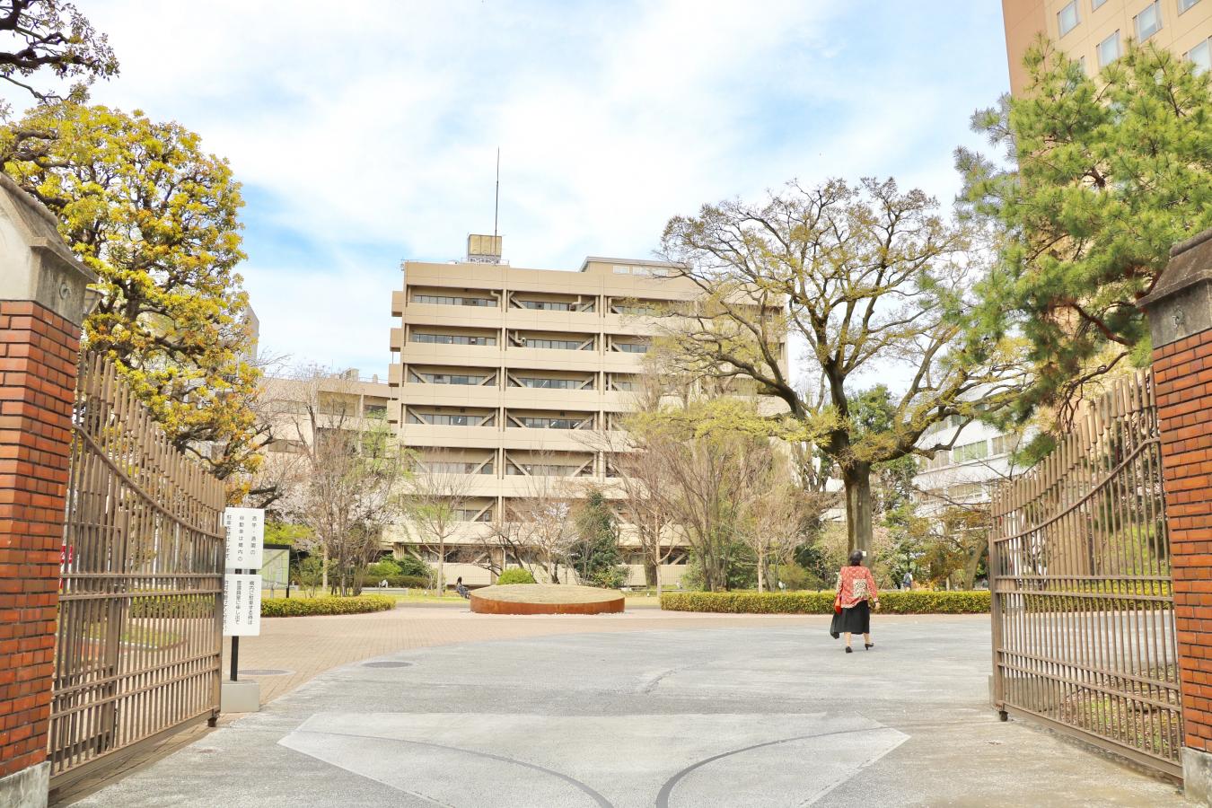 クックドア 欧風カレー カフェシエル 東京都文京区 周辺施設口コミ 写真 動画