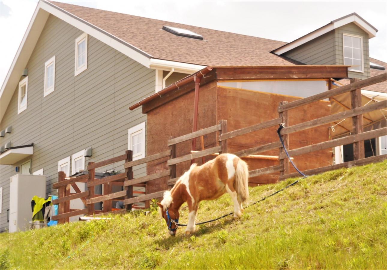 ドクターマップ】楓の丘こどもと女性のクリニック（大府市半月町）