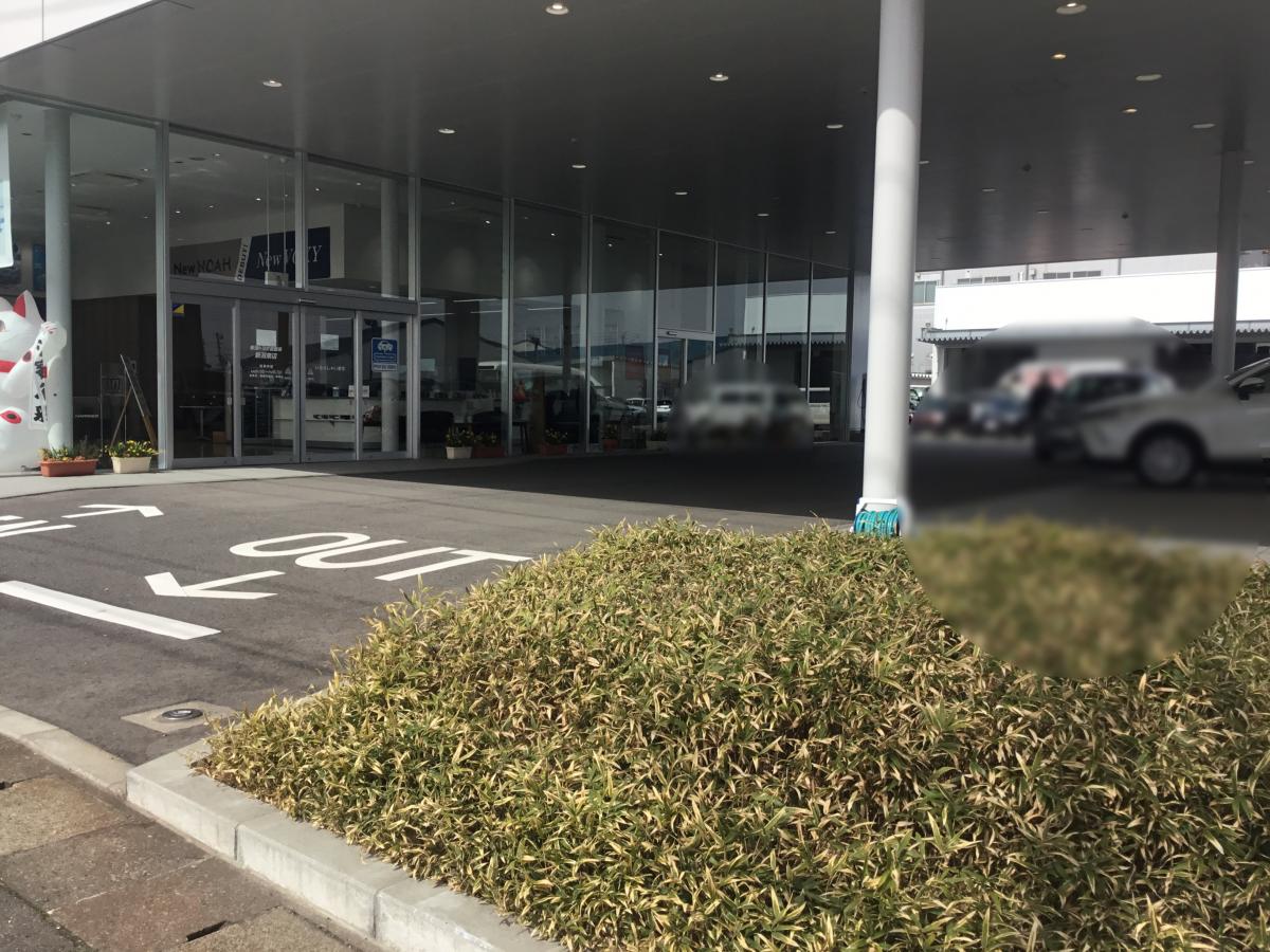 マーケットピア 新潟トヨタ自動車新潟東店