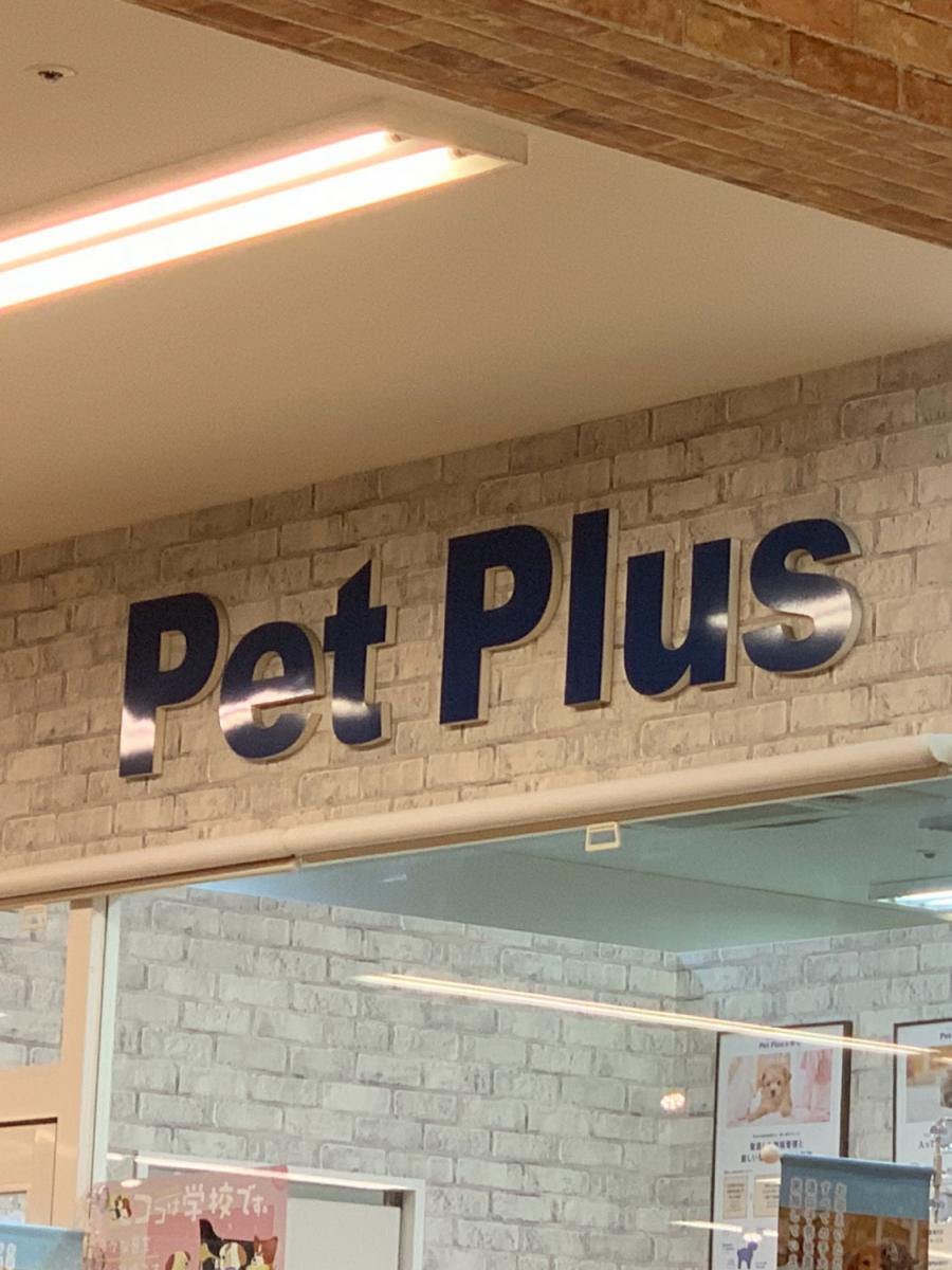 【マーケットピア】ペットプラス ららぽーと新三郷店（三郷市新三郷ららシティ）