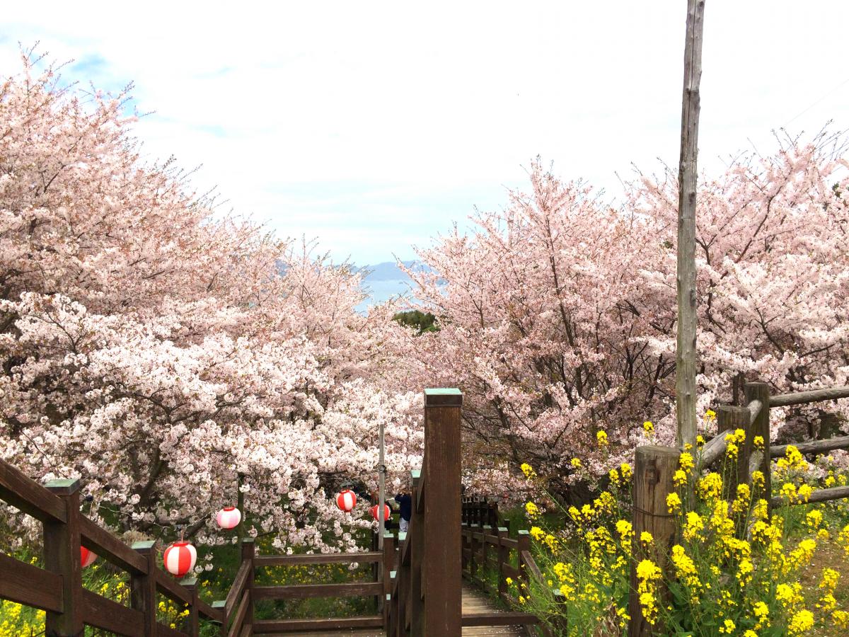 パブリネット 開山公園 パブリネット 開山公園