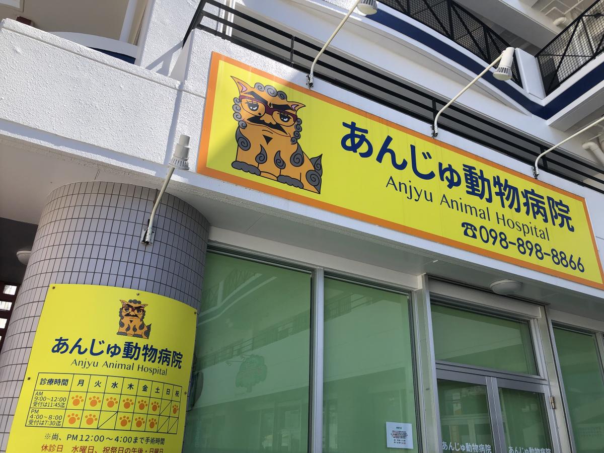 ドッグメディカル あんじゅ動物病院 宜野湾市真志喜
