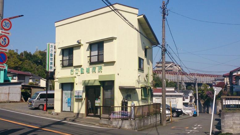 ドッグメディカル おか動物病院 ドッグメディカル おか動物病院