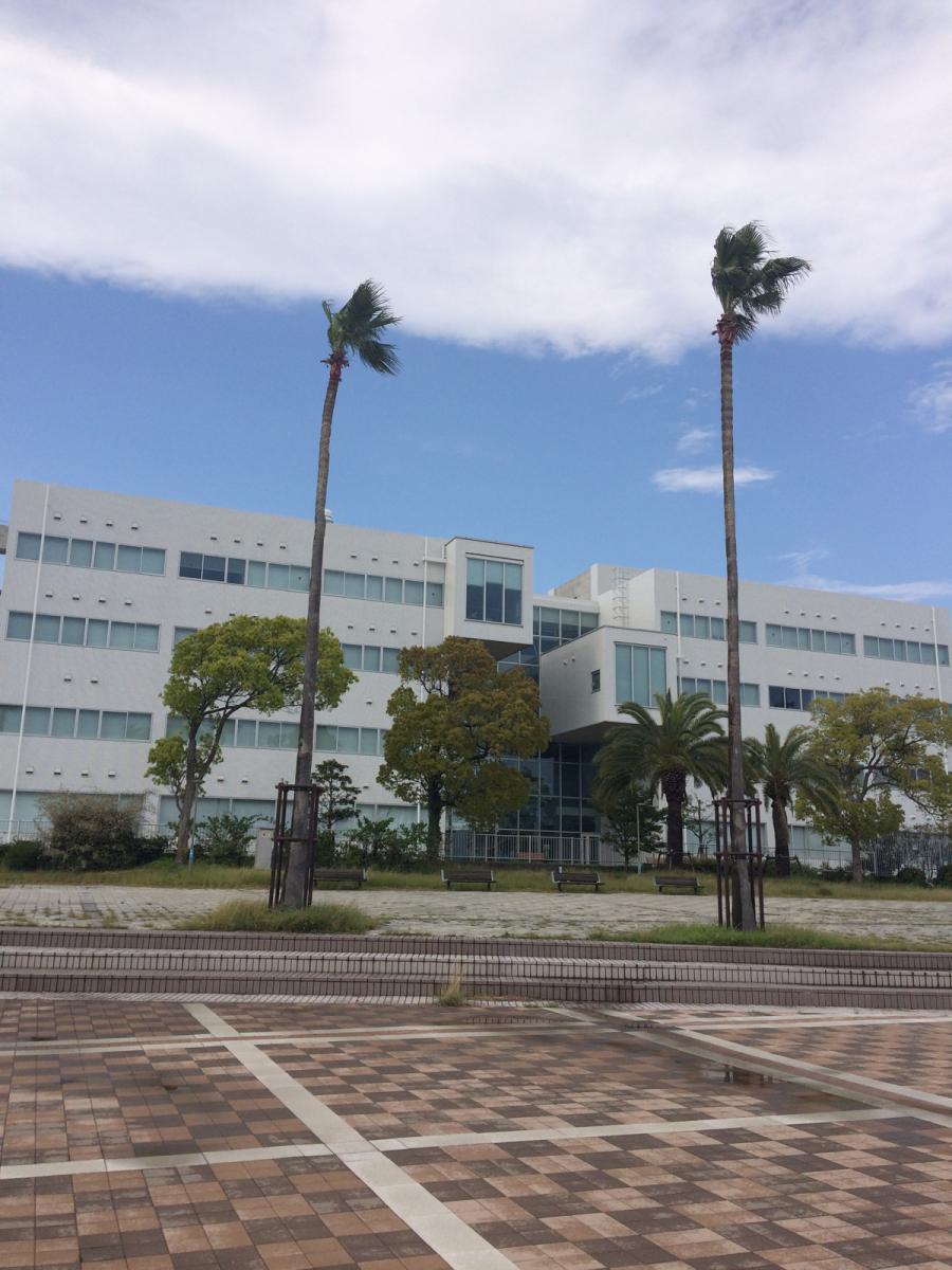 スタディピア 神戸国際大学 神戸市東灘区向洋町中