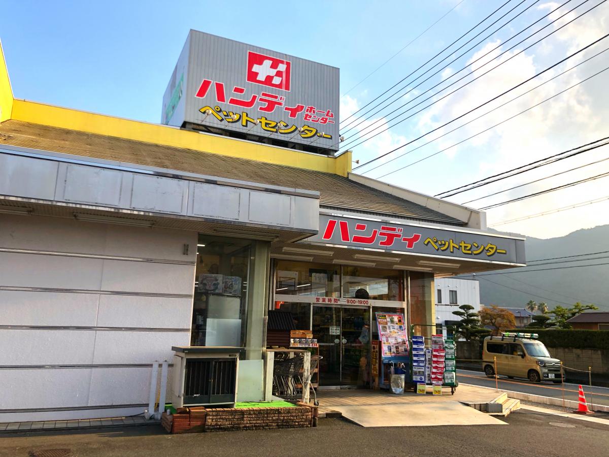 マーケットピア キャンドゥ ハンディホームセンター大仁店 伊豆の国市 周辺施設 口コミ 写真 動画