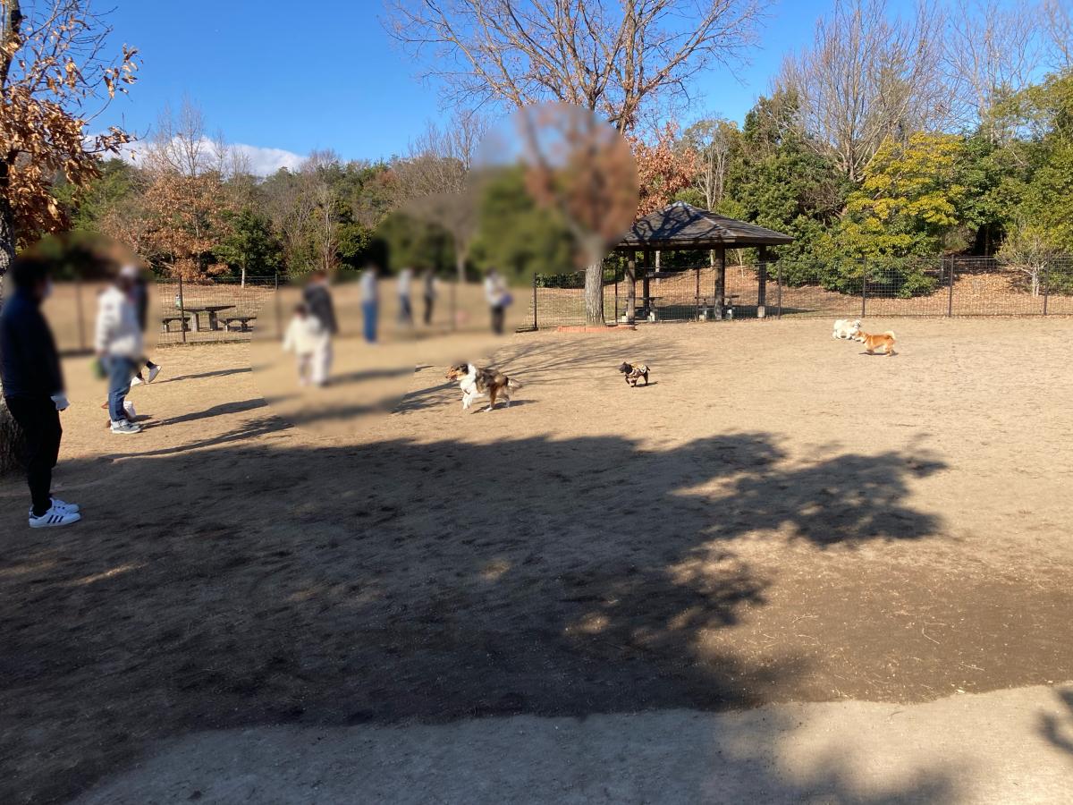 ユキサキnavi 三木ｓａ