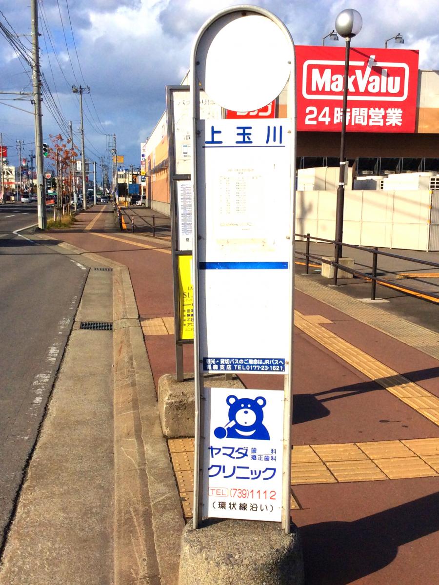 クックドア びっくりドンキー 青森浜田店 青森県青森市 周辺施設口コミ 写真 動画