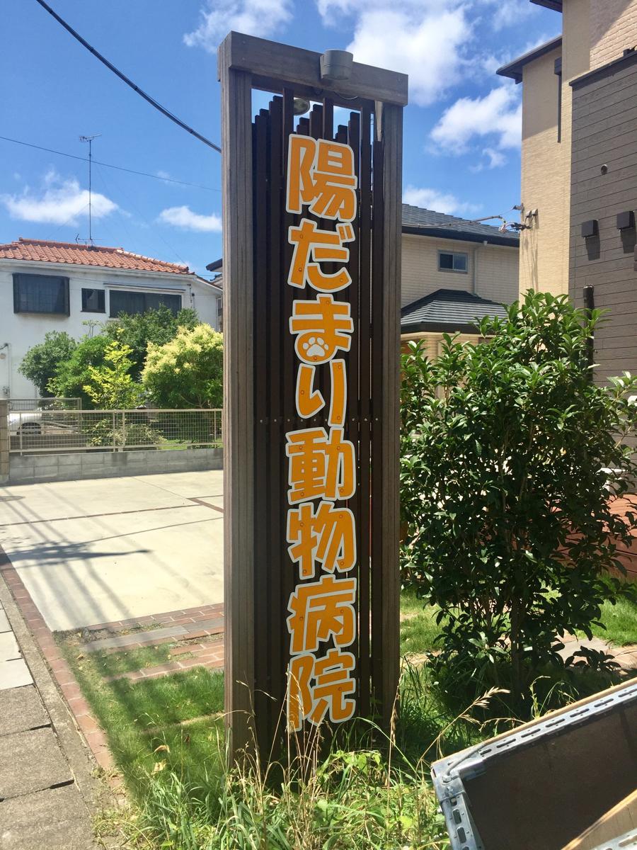 マーケットピア ｄｃｍくろがねや稲城押立店 稲城市 周辺施設 口コミ 写真 動画