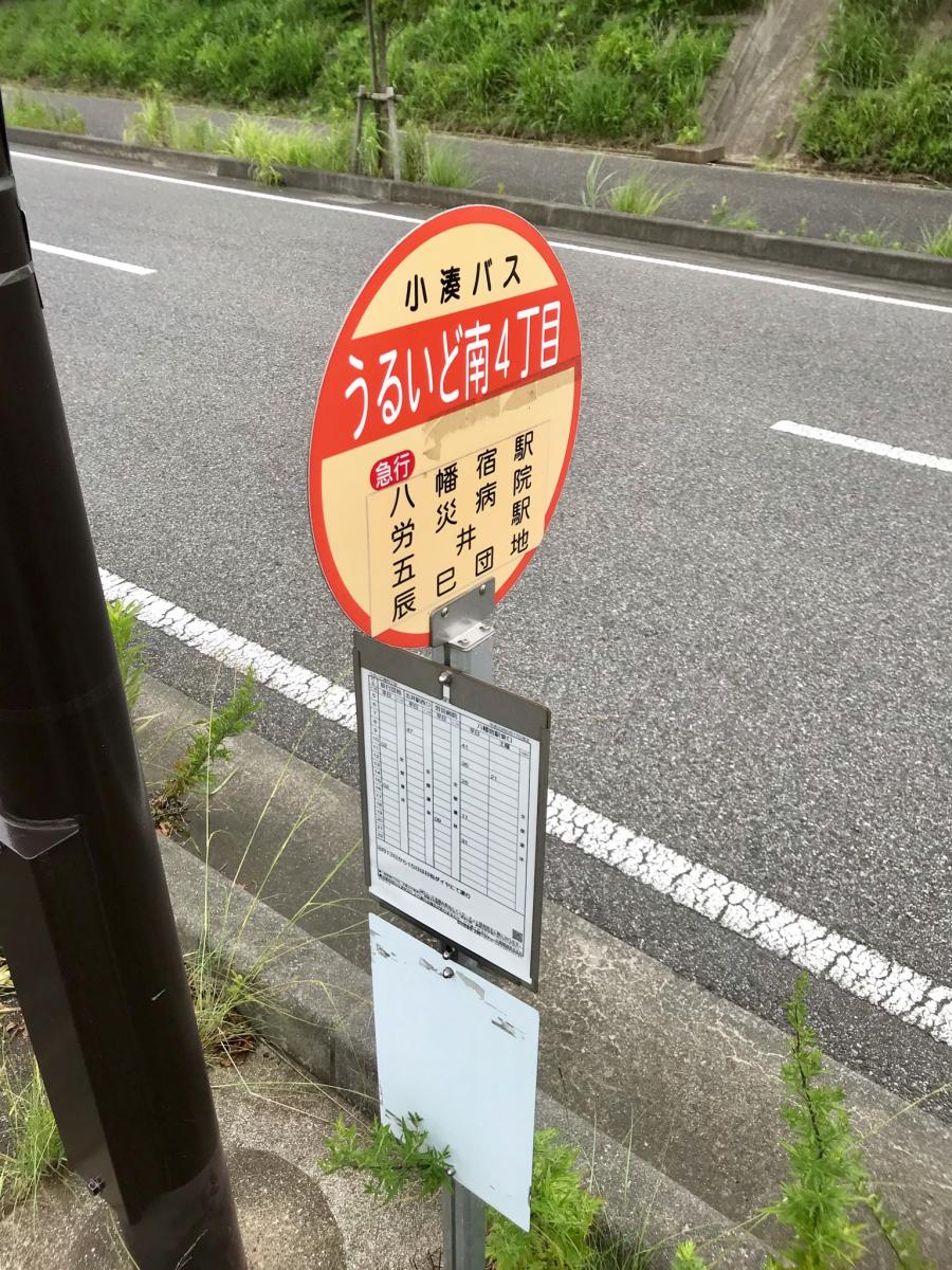 スタディピア 帝京平成大学千葉キャンパス 市原市 周辺施設 口コミ 写真 動画