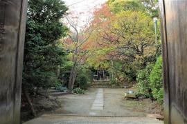 旅探 たびたん 小田原市の神社 寺 教会ランキング