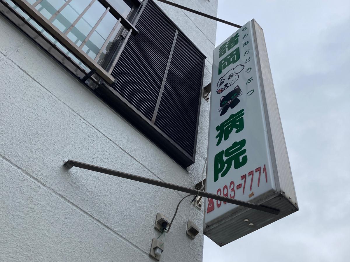 ドッグメディカル 諸岡動物病院 ドッグメディカル 諸岡動物病院