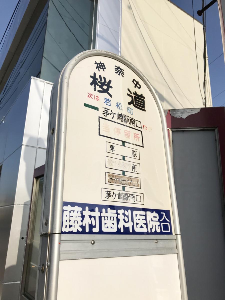 ユキサキナビ 桜道 バス停留所 茅ヶ崎市 の投稿写真一覧