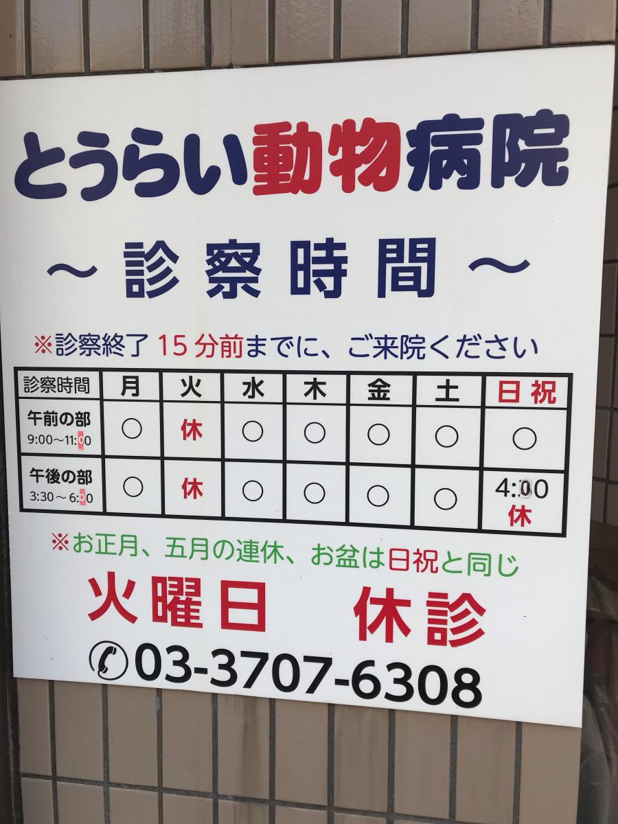 ドッグメディカル とうらい動物病院