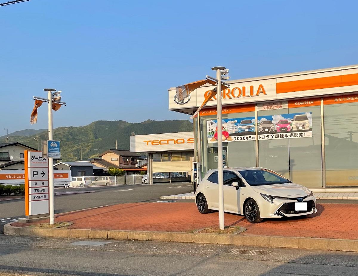 ホームメイト・シニア】わたぼうし